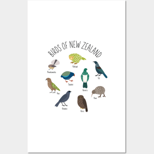 Birds Of New Zealand Posters and Art